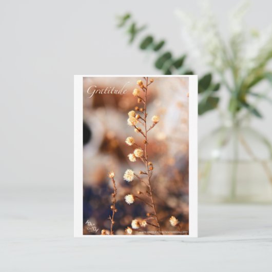 CARTE POSTALE GRATITUDE (Debout devant)