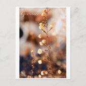 CARTE POSTALE GRATITUDE (Devant)