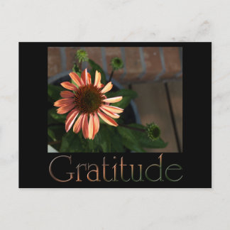 Carte Postale Gratitude 3