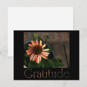 Carte Postale Gratitude 3 (Devant / Derrière)