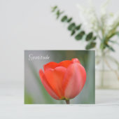 Carte Postale Gratitude florale de la Tulipe rouge (Debout devant)