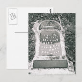 Carte Postale Grave aquatique (Devant / Derrière)