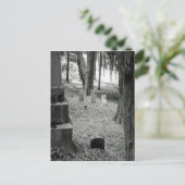 Carte Postale Grave oubliée (Debout devant)