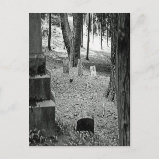 Carte Postale Grave oubliée (Devant)