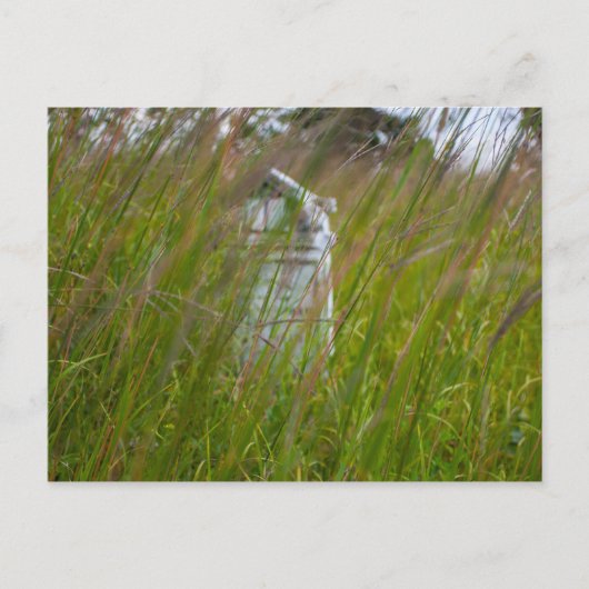 Carte Postale Grave, Smith Cemetery State Nature Preserve, Ohio (Devant)