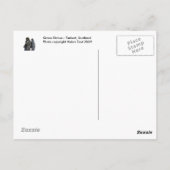 Carte postale Grave Statue (Dos)