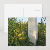 Carte Postale Gravestones des Prairies, Cimetière de Bigelow, Oh (Devant / Derrière)