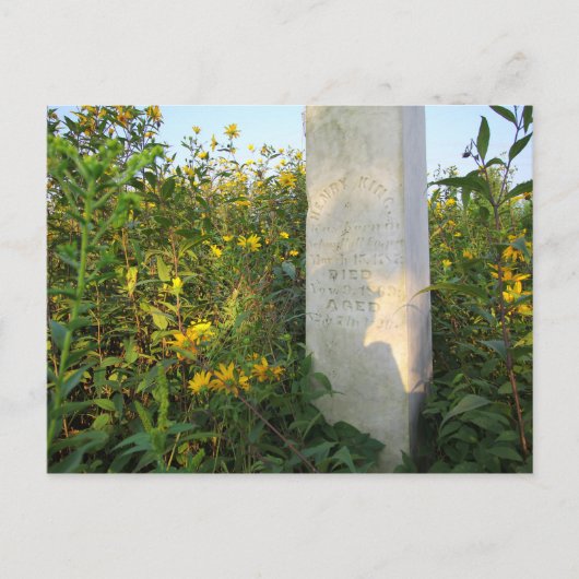 Carte Postale Gravestones des Prairies, Cimetière de Bigelow, Oh (Devant)
