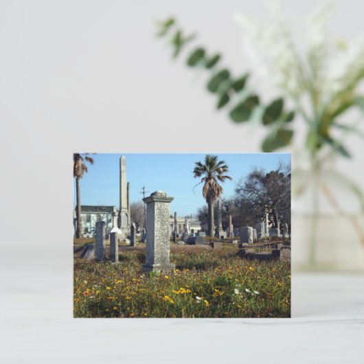 Carte Postale Graveyard de Galveston (Debout devant)