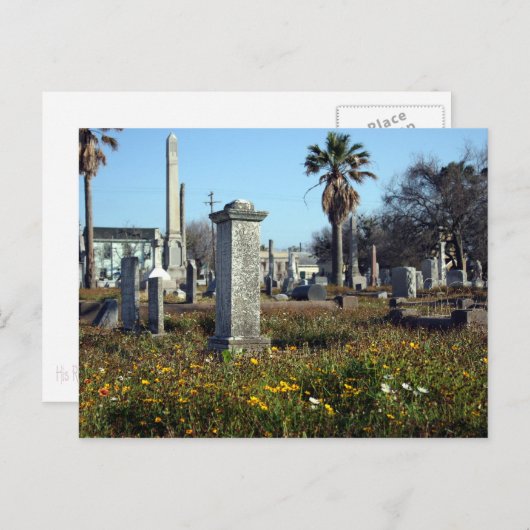 Carte Postale Graveyard de Galveston (Devant / Derrière)