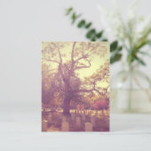 Carte Postale Graveyard léger (Debout devant)