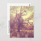 Carte Postale Graveyard léger (Devant / Derrière)