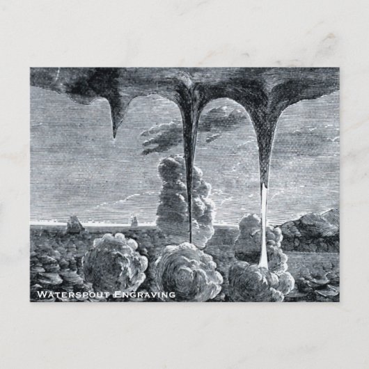 Carte Postale Gravure de naissain (Devant)