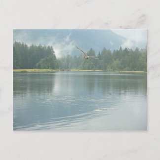 Carte Postale Gravure libre