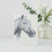 Carte Postale Gray gaze (Debout devant)