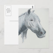 Carte Postale Gray gaze (Devant / Derrière)