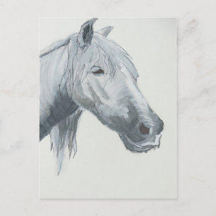 Carte Postale Gray gaze