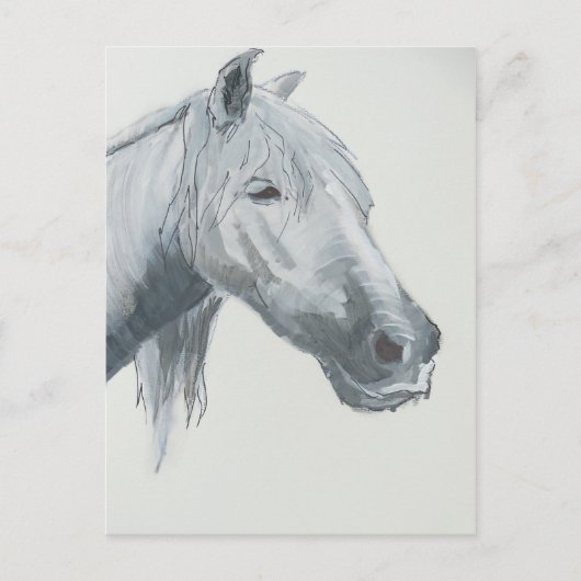 Carte Postale Gray gaze (Devant)