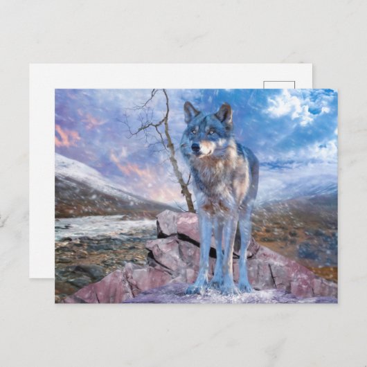 Carte Postale Gray Wolf RÉPONSE À L'APPEL (Devant / Derrière)