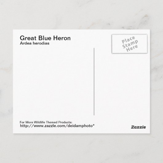 Carte postale Great Blue Heron (Dos)