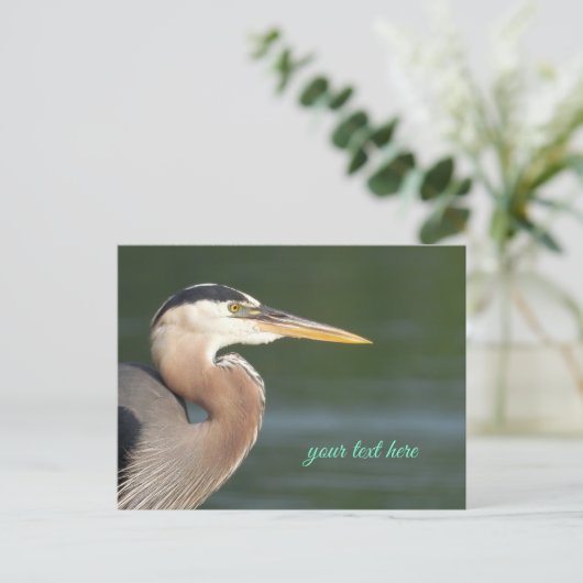 Carte postale Great Blue Heron Close (Debout devant)