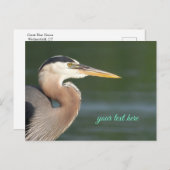 Carte postale Great Blue Heron Close (Devant / Derrière)