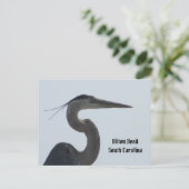Carte postale Great Blue Heron Hilton Head SC (Debout devant)