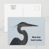 Carte postale Great Blue Heron Hilton Head SC (Devant / Derrière)