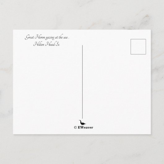 Carte Postale Great Blue Heron Hilton Head Sc Avec Océan (Dos)