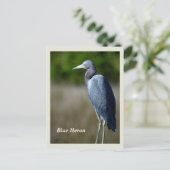 Carte postale Great Blue Heron Holiday (Debout devant)