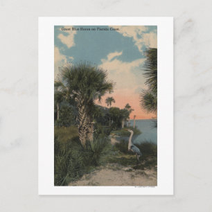 Carte Postale Great Blue Heron sur la plage de la côte de Florid