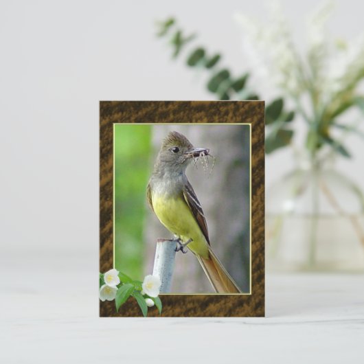 Carte postale Great Crested Flycatcher 2 (Debout devant)