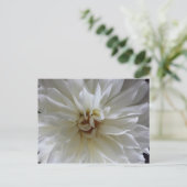 Carte Postale Great Dahlia 1 - educatedbrainfart (Debout devant)