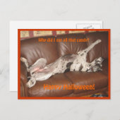 Carte Postale Great Dane Ate Too Much Halloween (Devant / Derrière)