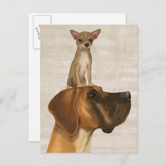 Carte Postale Great Dane et Chihuahua 2 (Devant / Derrière)