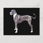 Carte Postale Great Dane Merle 'Heffner' (Devant)
