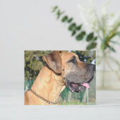 Carte postale Great Dane Photo (Debout devant)