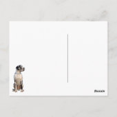 Carte Postale Great Dane waiting for you  (Dos)