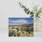 Carte postale Great Falls Virginia (Debout devant)