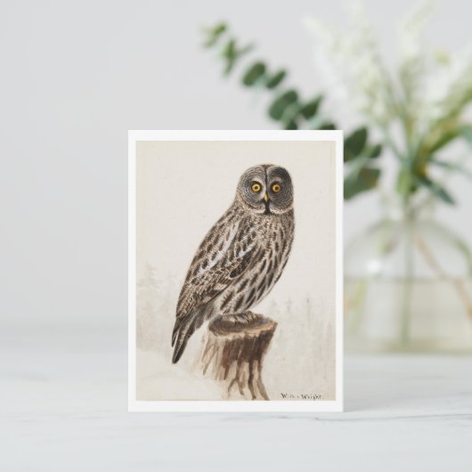Carte postale Great Grey Owl (Debout devant)