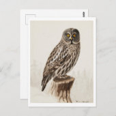 Carte postale Great Grey Owl (Devant / Derrière)