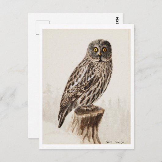 Carte postale Great Grey Owl (Devant / Derrière)