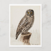 Carte postale Great Grey Owl (Devant)