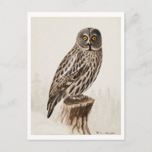 Carte postale Great Grey Owl (Devant)
