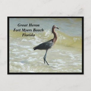 Carte postale Great Heron Holiday