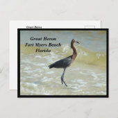 Carte postale Great Heron Holiday (Devant / Derrière)