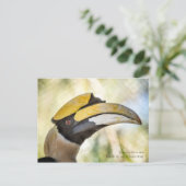 Carte postale : Great Hornbill 4 (Debout devant)