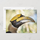 Carte postale : Great Hornbill 4 (Devant / Derrière)