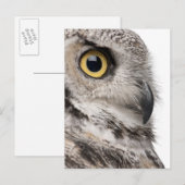 Carte Postale Great Horned Owl (Devant / Derrière)
