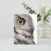Carte Postale Great Horned Owl (Debout devant)